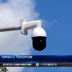 Муж изрубил топором жену в Туркестанской области