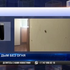 В Шымкенте жильцы травили тараканов дымовой шашкой