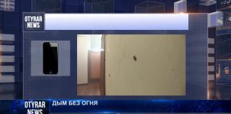 В Шымкенте жильцы травили тараканов дымовой шашкой