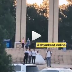 Свадьба возле дендропарка: Молодоженов строго предупредили свадьба