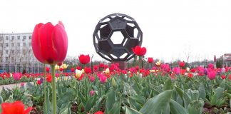 О Шымкенте расскажут на площадке III Nobel Fest Шымкент