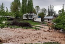 В Каскасу из-за дождей сошли селевые потоки Потоп в Мактааральском районе из-за прорыва дамбы в Узбекистане