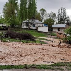 В Каскасу из-за дождей сошли селевые потоки Потоп в Мактааральском районе из-за прорыва дамбы в Узбекистане