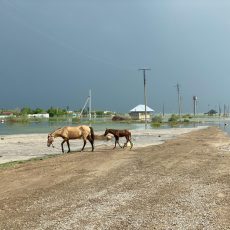 В Мактааральском районе под водой осталось два населенных пункта потоп