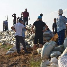 Мактаарал: В пяти населенных пунктах угроза подтопления миновала дамба