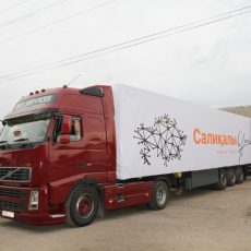 Общественный фонд «Салиқалы ұрпақ» доставил в Мактаарал 20 тонн груза гуманитарная помощь