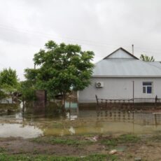 Уровень воды в затопленных аулах Мактаарала снижается потоп