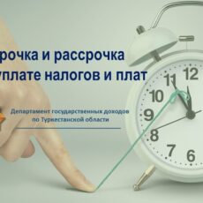 Отсрочка и рассрочка по уплате налогов и плат налоги