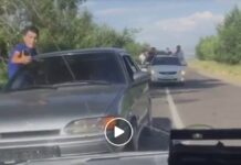 Установлены участники веселого кортежа в Толебийском районе