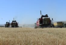 Шукеев ознакомился с ходом уборочной кампании уборка, хлеб