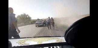 Житель Шымкента совершил убийство в Алматинской области погоня