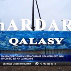 Ликвидирован миллионный браконьерский промысел на Шардаре