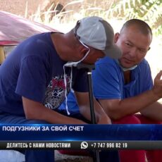 В Шымкенте инвалиды не получают средства гигиены
