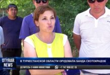 В Туркестанской области орудовала банда конокрадов