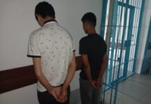 Туркестанские полицейские по горячим следам задержали конокрадов скотокрады