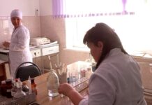 Экологи отмечают профессиональный праздник