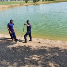 Двое парней утонули в Туркестанской области за сутки водолазы