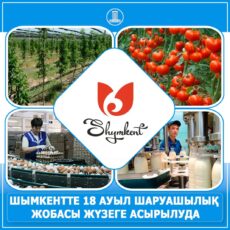 В Шымкенте в АПК реализуют 18 инвестиционных проектов АПК