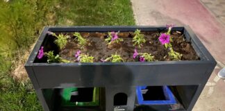 В Туркестане установили мусорные урны с цветами