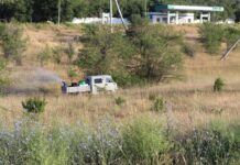 В Шымкенте на борьбу с саранчой выделили 5,5 млн тенге обработка саранча