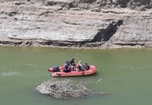 Поисковые работы военнослужащего из Узбекистана продолжаются в Мактаарале поиск спасатели