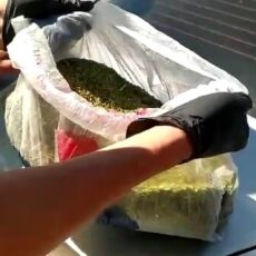 В Келесском районе задержали иностранца с наркотиками марихуана