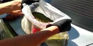 В Келесском районе задержали иностранца с наркотиками марихуана