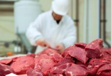 Япония начнет закупать конину в Казахстане для производства деликатесов мясо