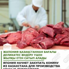 Япония начнет закупать конину в Казахстане для производства деликатесов мясо