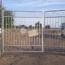 В Шардаринском районе полицейские выявили 90 случаев купания в запрещённых местах карантин