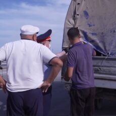 В Шымкенте на блок-постах развернули в обратную сторону 56 машин с баранами скот животные