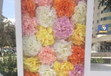 Из инсталляции «Менын калам Шымкент» вырвали цветы