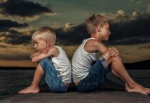 Почему у одних и тех же родителей, порой, рождаются совершенно непохожие друг на друга дети? братья