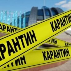 Шел восьмой месяц карантина… карантин