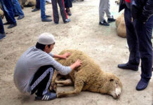 ДСЭК Шымкента: Профилактика пищевых отравлений в праздничные дни жертвоприношения в Курбан айт