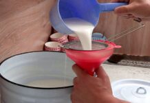 Шымкентцы скупают кумыс, как панацею от эпидемии