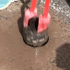 vlcsnap-2020-07-21-10h07m15s831