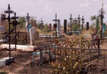 Шымкентцы просят власть обратить внимание на содержания кладбищ