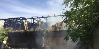 Сгорели три тонны соломы в Шымкенте пожар