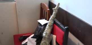 В Туркестане полицейские задержали подозреваемых, похитивших оружие из охранного агентства оружие