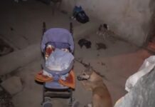 В Шымкенте молодая мама оставила новорожденного ребенка ночевать на улице ребенок