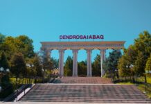 В Шымкенте ввели новые правила посещения дендропарка Шымкентский дендропарк