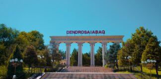 130 тысяч посетителей побывали в дендропарке Шымкентский дендропарк