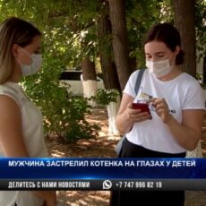 В Шымкенте мужчину доставили в полицию за убийство кошки