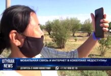 Нет сети: на отсутствие мобильной связи и интернета пожаловались жители Шымкента