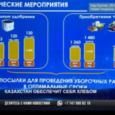 Казахстан должен стать мировым продуктовым хабом