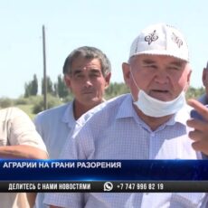 Аграрии Отырарского района Туркестанской области на грани банкротства