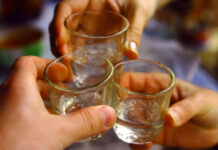 В Туркестанской области нетрезвая семейная пара оказала неповиновение полиции рюмки