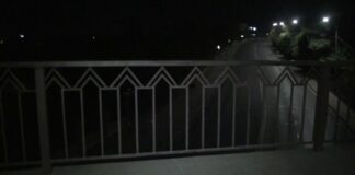 В Шымкенте парень спрыгнул с моста в парке: ведется расследование