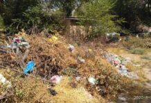 Кладбища в Шымкенте перешли на самообслуживание: Погосты не по ГОСТу